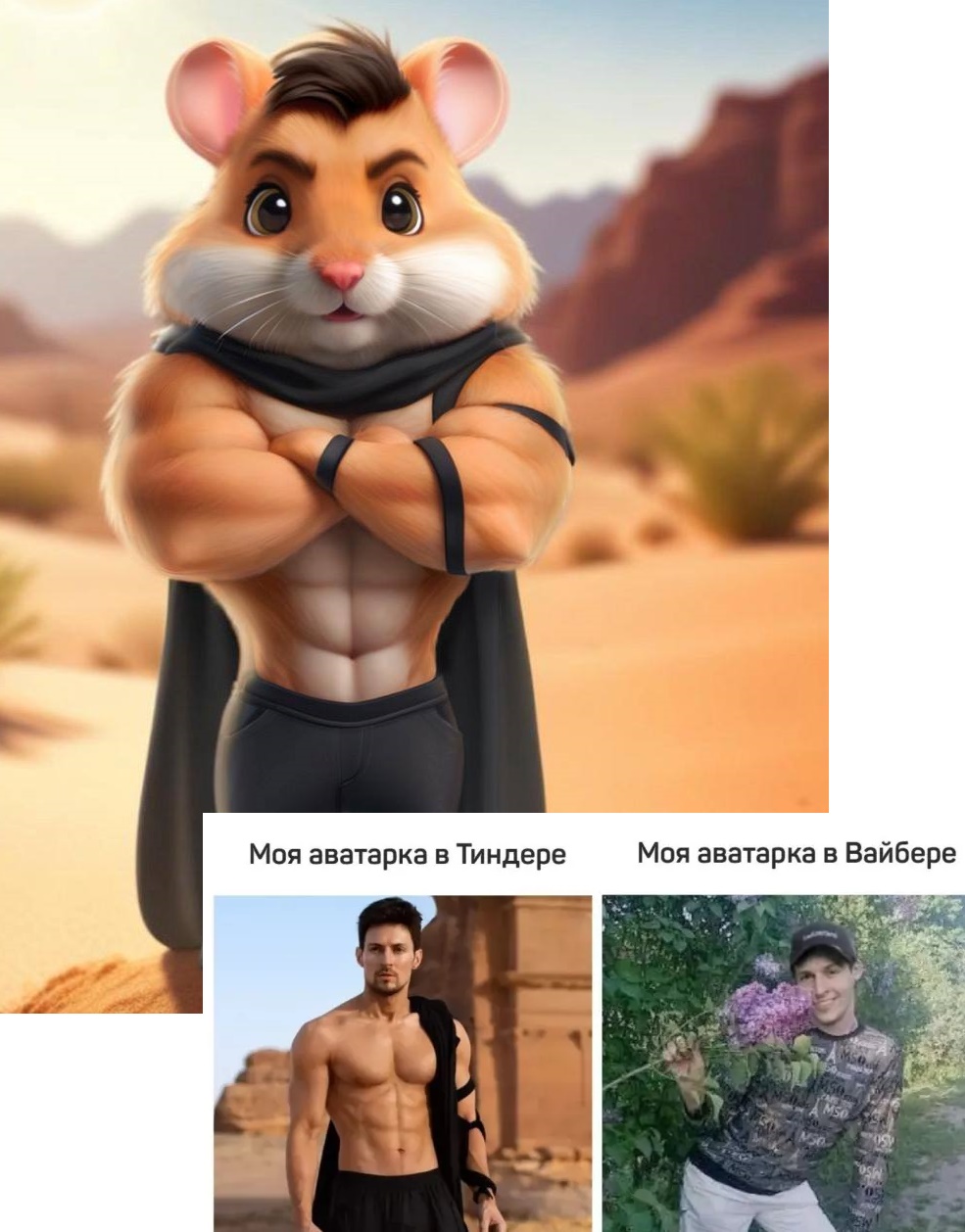 Hamster Kombat в вайбере Hamster Kombat в вайбере